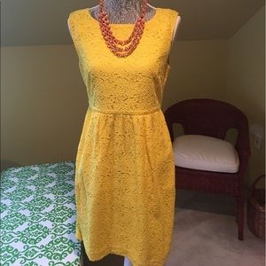 J. Crew Dress