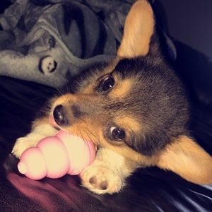 Meet your Posher, Ivette