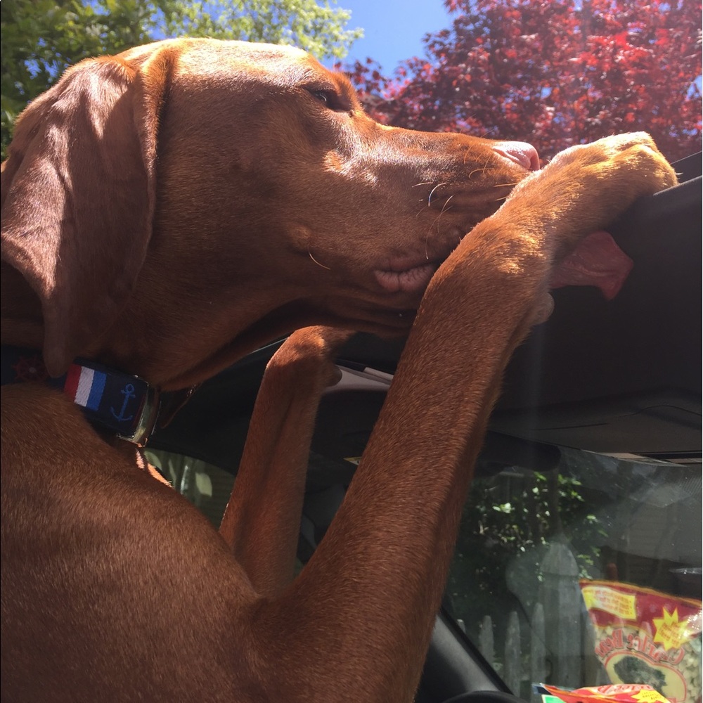 Meet your Posher, Elizabeth