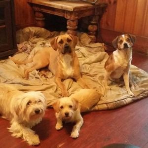 Meet your Posher, Dana