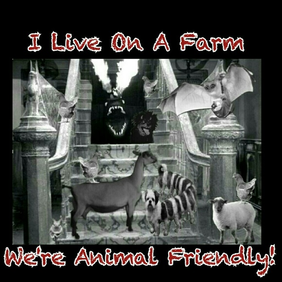 Welcome! - Picture 2 of 4