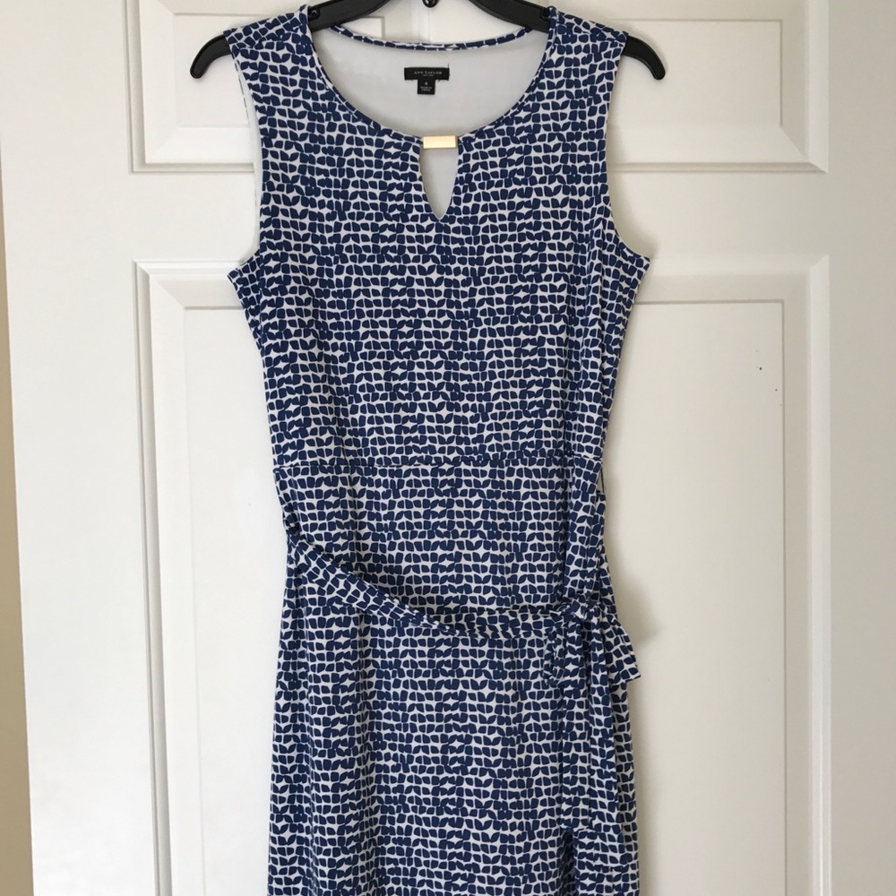 Ann Taylor Tie Waist Dress