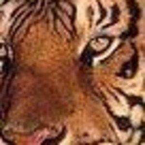 Meet your Posher, Sidney