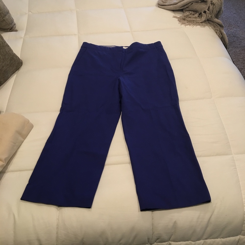 J.Crew Blue Capri Trousers.