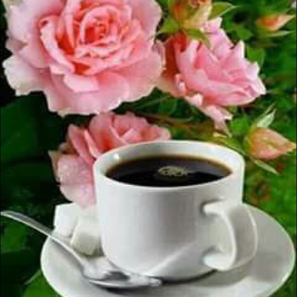 Meet your Posher, Abir