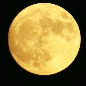 Meet your Posher, Ginny