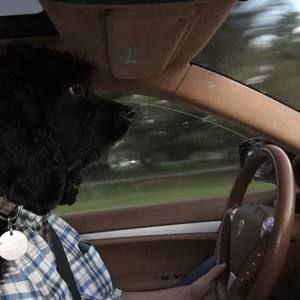 Meet your Posher, Michael