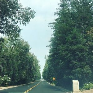 Meet your Posher, Besan