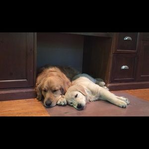 Meet your Posher, Laura