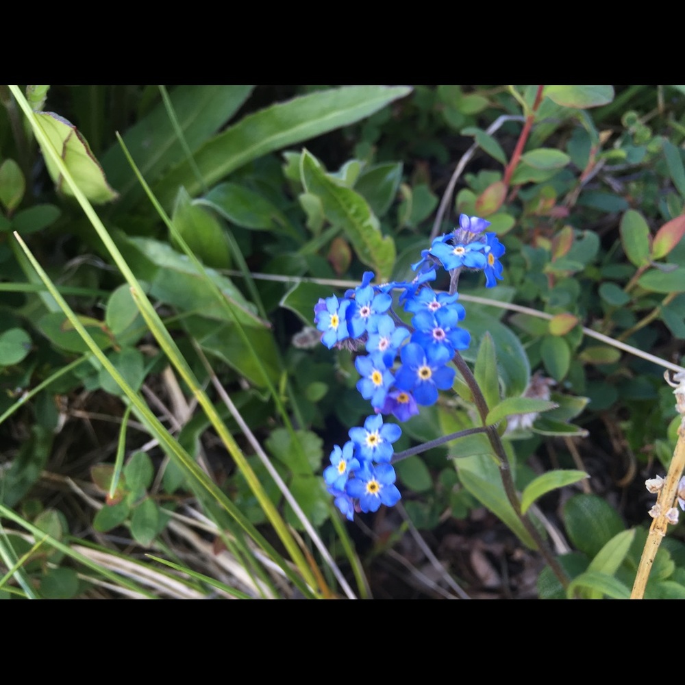 Meet your Posher, Robin