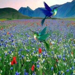 Meet your Posher, Wendy