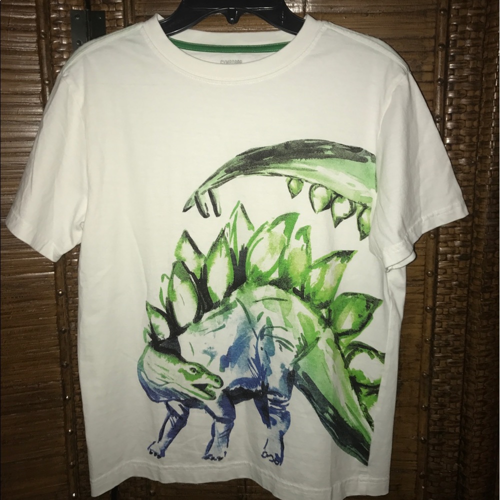 *FINAL* Boy's Gymboree Size Tee Shirt, Size 10/12