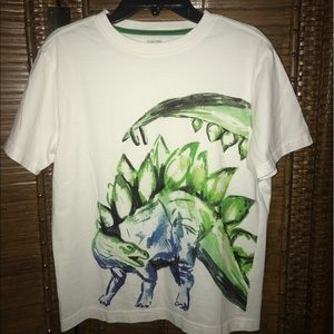 *FINAL* Boy's Gymboree Size Tee Shirt, Size 10/12