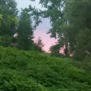 Meet your Posher, Cindy