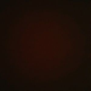 Meet your Posher, Travis