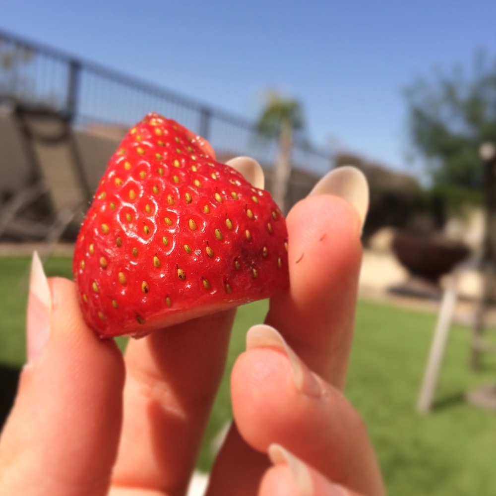 Meet your Posher, Allyson