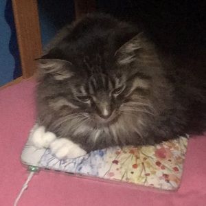 Meet your Posher, Denise