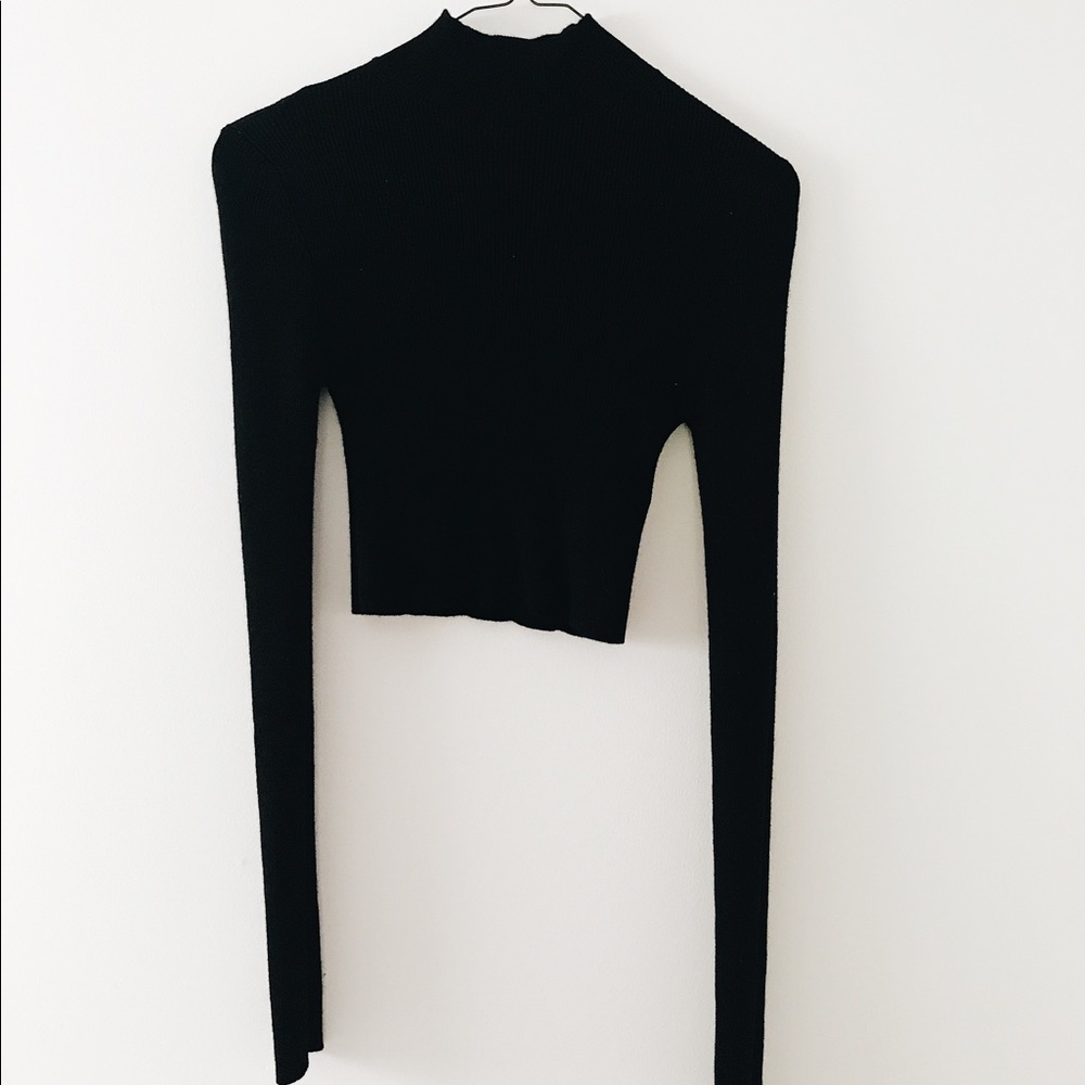 Longsleeve turtleneck crop top