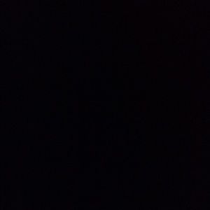 Meet your Posher, Reese