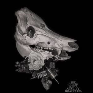 Meet your Posher, Matthew hambone