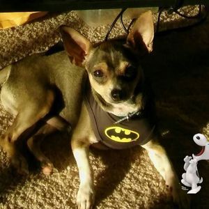 Meet your Posher, Carla