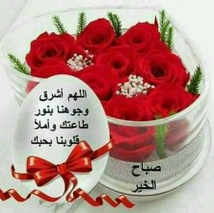 Meet your Posher, Hassan