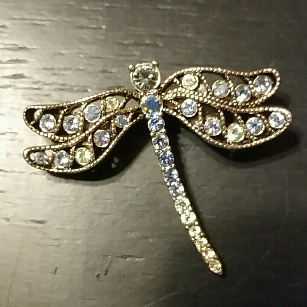 *SOLD*Dragonfly Pin