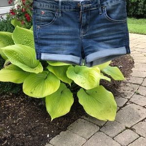 Jean shorts!!