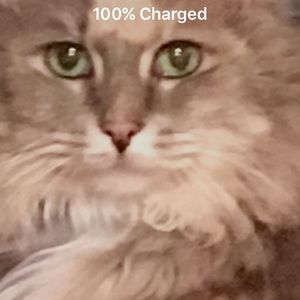 Meet your Posher, Sherry