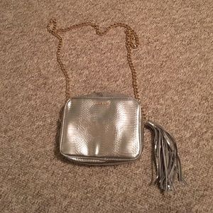 VS Silver snakeskin purse