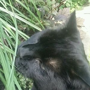 Meet your Posher, Connie