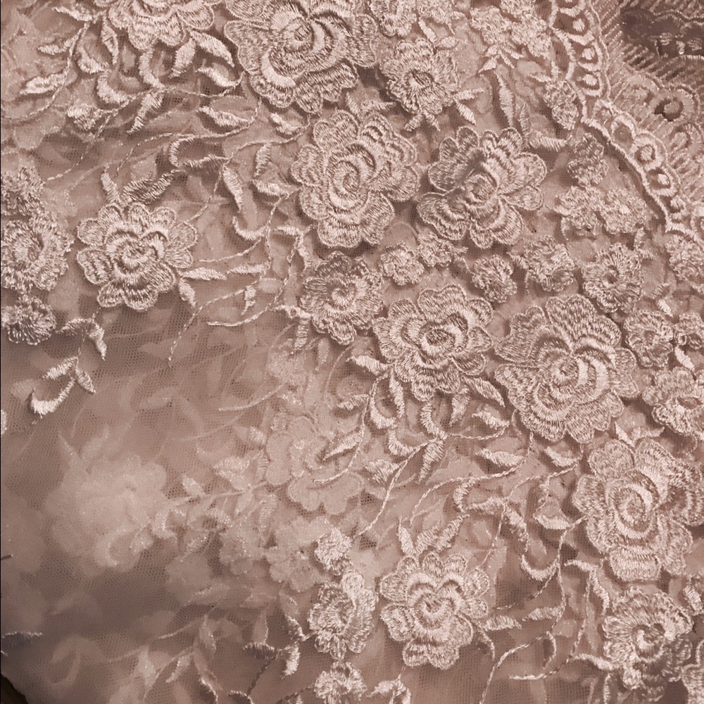 Embroidered Lace - Picture 2 of 3