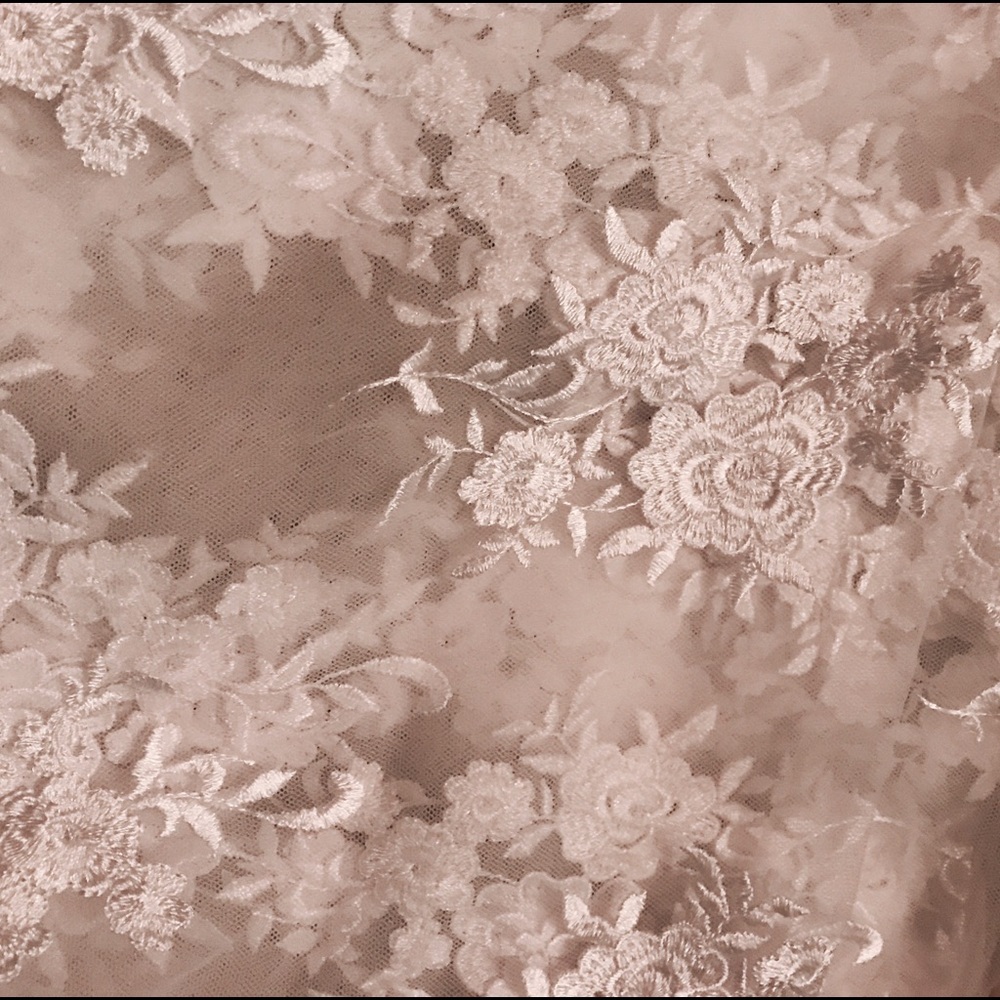 Embroidered Lace - Picture 3 of 3