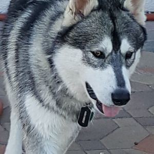 Meet your Posher, Julieta