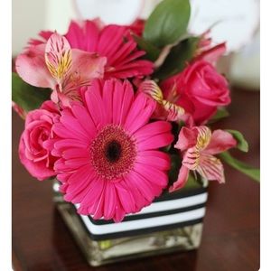 Meet your Posher, Kristina