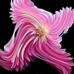 Meet your Posher, Lorene