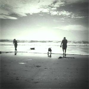 Meet your Posher, Carol