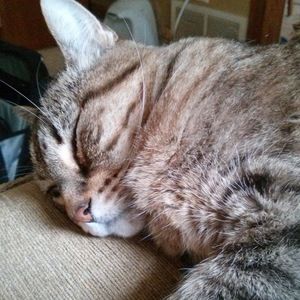 Meet your Posher, Jason