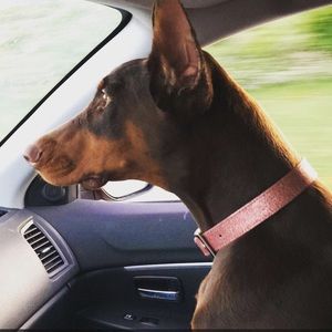 Meet your Posher, Jessica