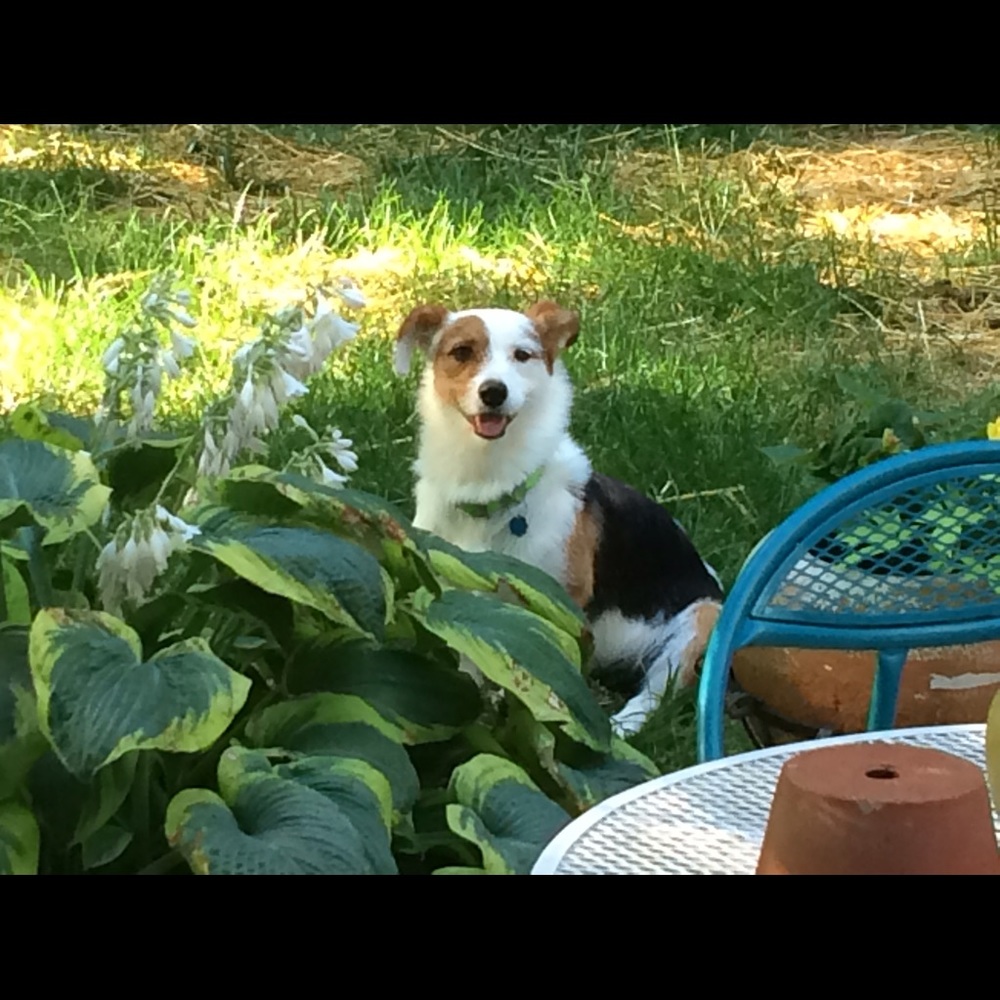 Meet your Posher, Ashley