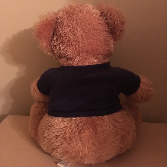 New York Yankees teddy bear - Picture 4 of 6