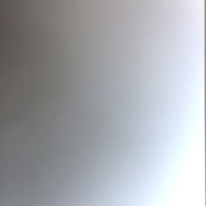 Meet your Posher, Leonardo