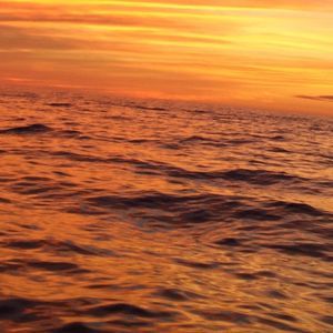 Meet your Posher, Joanna