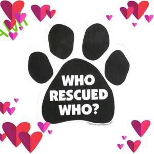 Meet your Posher, Paula