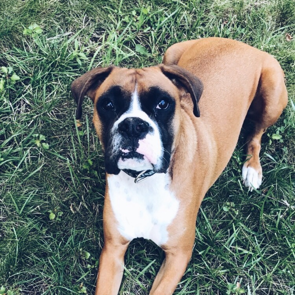 Meet your Posher, Jovitamae