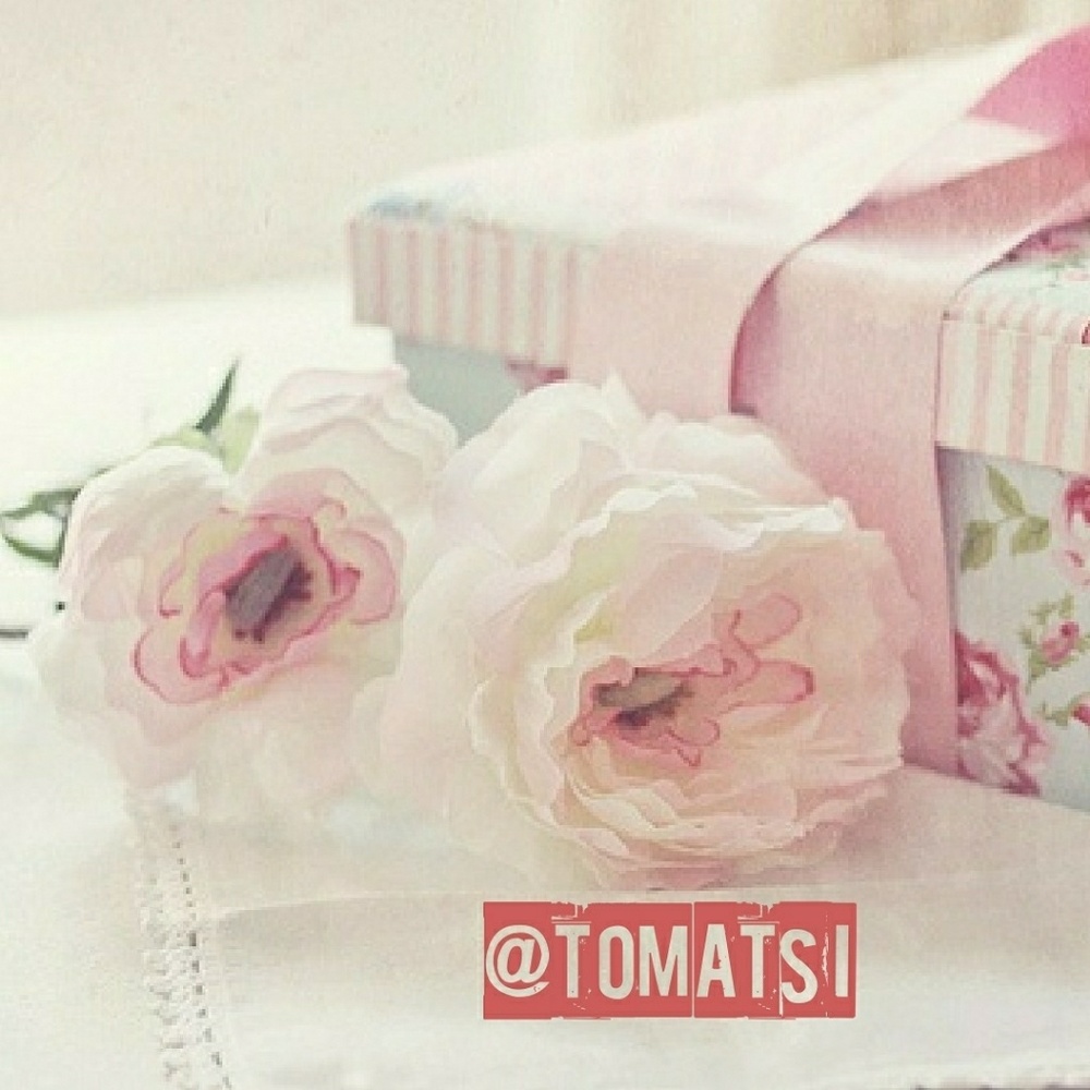 • @tomatsi •