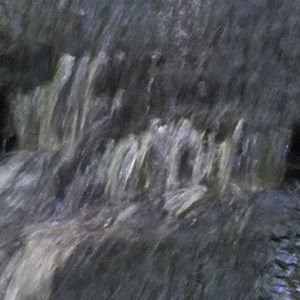 Meet your Posher, Rolando