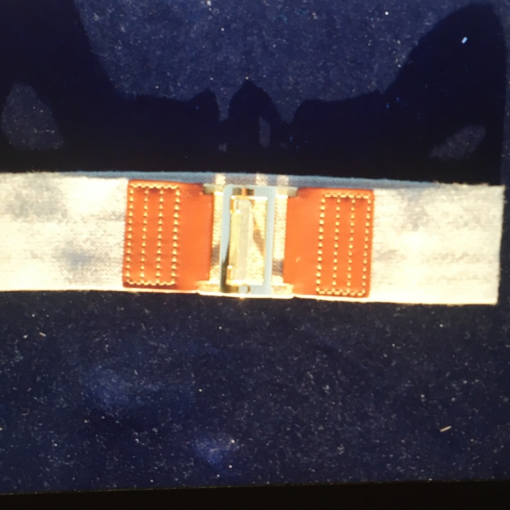 Fabulous belt