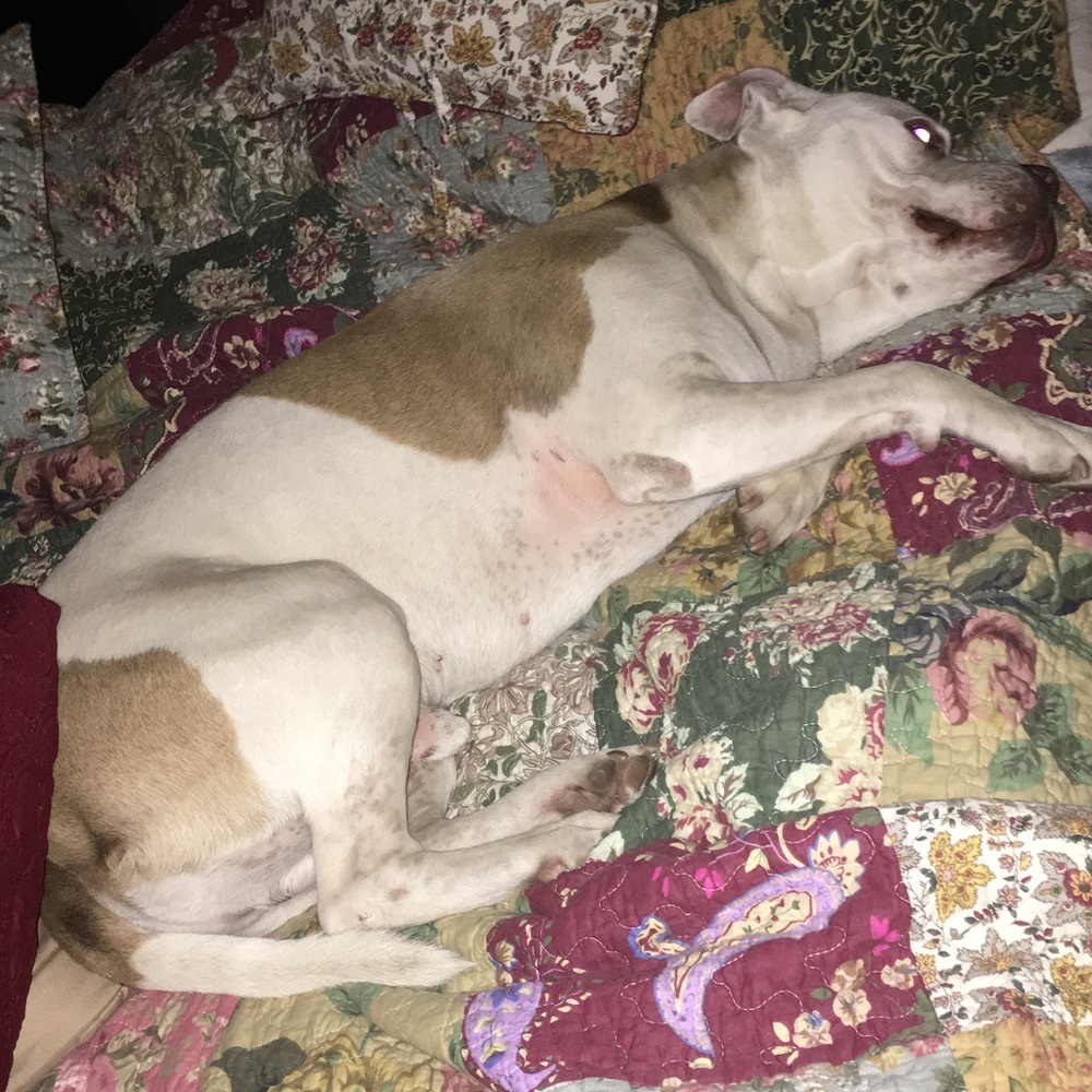 Meet your Posher, Christen