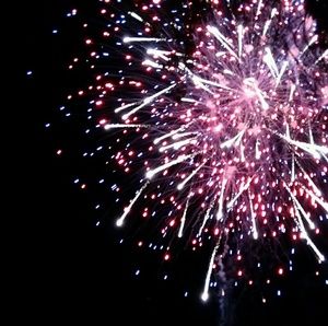 Meet your Posher, Bobbie